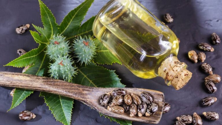 8 Genius Ways to Harness Castor Oil for Lush Hair Growth